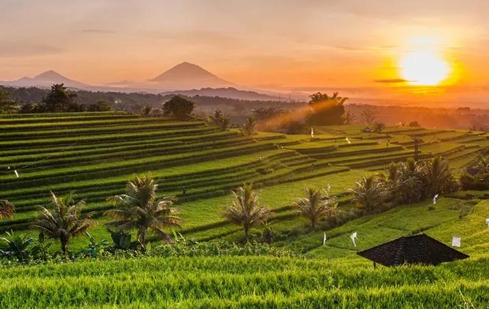 nakula area ubud