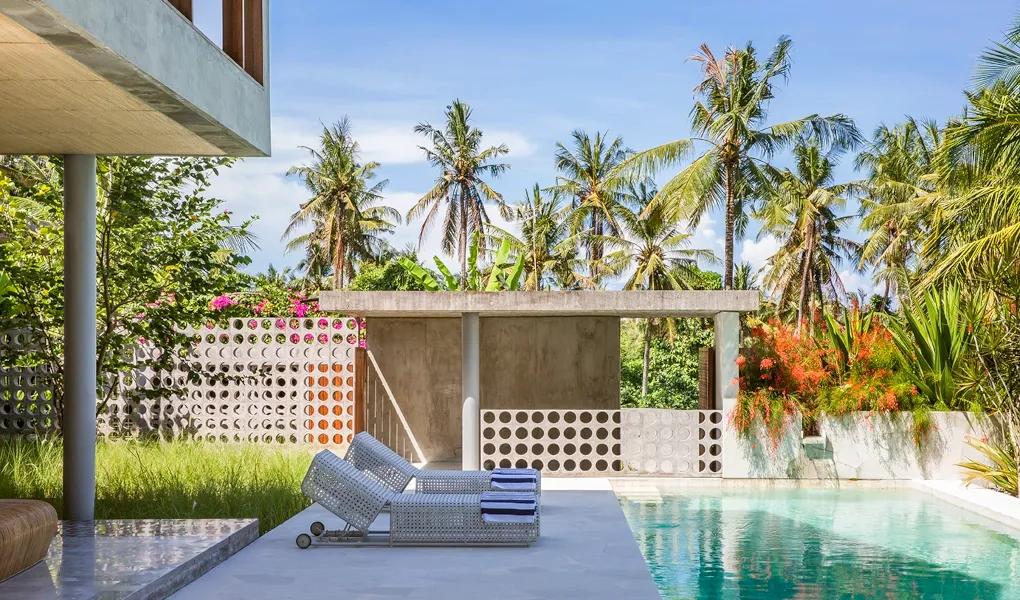 Sun loungers beside a pool with a palm tree view at casaBama