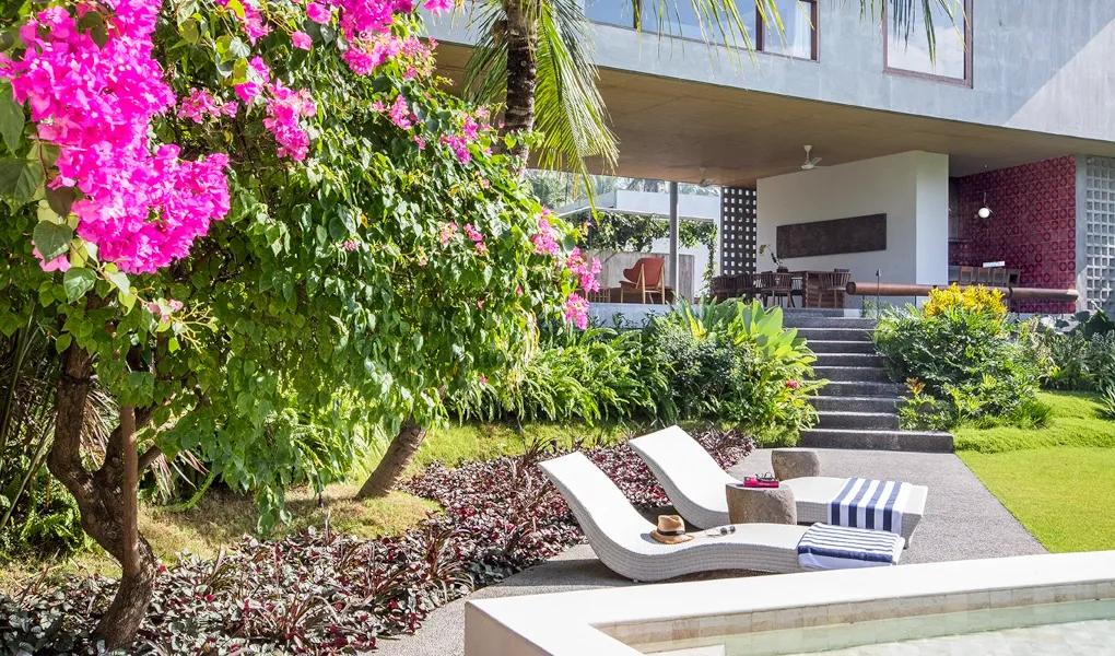 Tropical garden with sun loungers and pink bougainvillea at casaBama