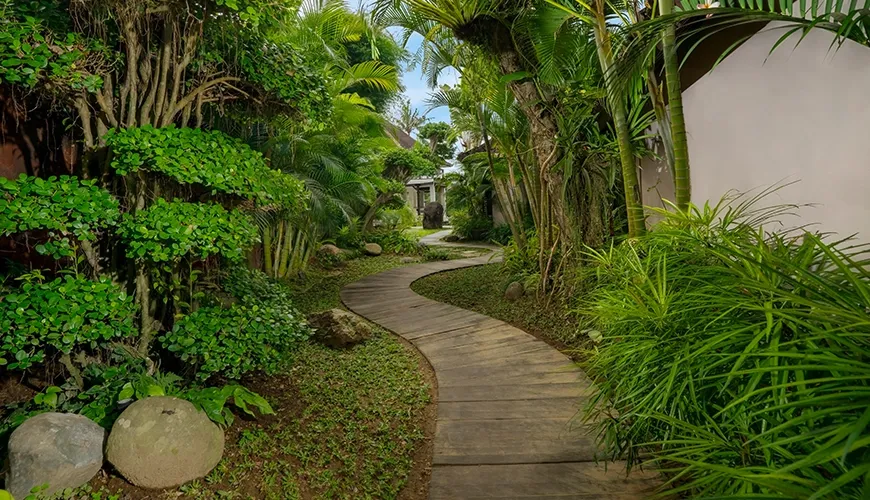 Winding wooden pathway leading through a dense, lush tropical garden area between villa buildings at Le Sunset Villa