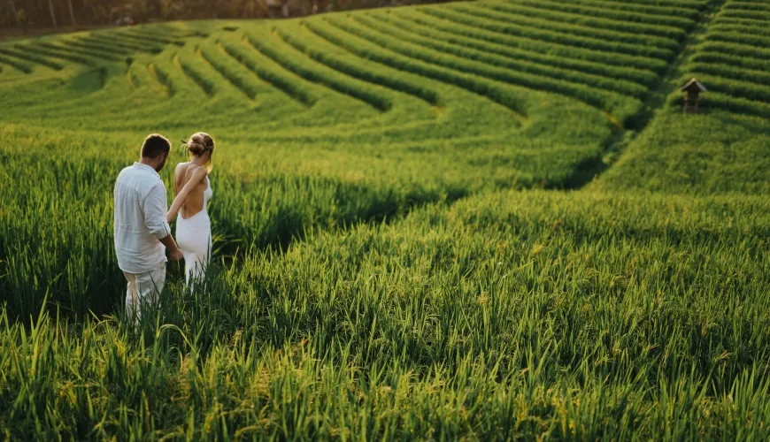 Couple walks through lush green terraced rice fields at sunset at The Cove
